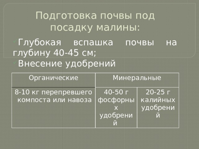 Подготовка почвы под посадку малины: Глубокая вспашка почвы на глубину 40-45 см; Внесение удобрений Органические 8-10 кг перепревшего компоста или навоза Минеральные 40-50 г фосфорных удобрений 20-25 г калийных удобрений 