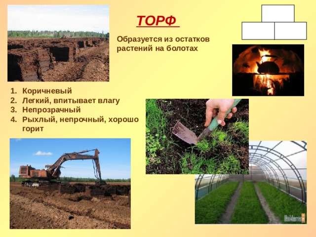 ТОРФ Образуется из остатков растений на болотах Коричневый Легкий, впитывает влагу Непрозрачный Рыхлый, непрочный, хорошо горит 