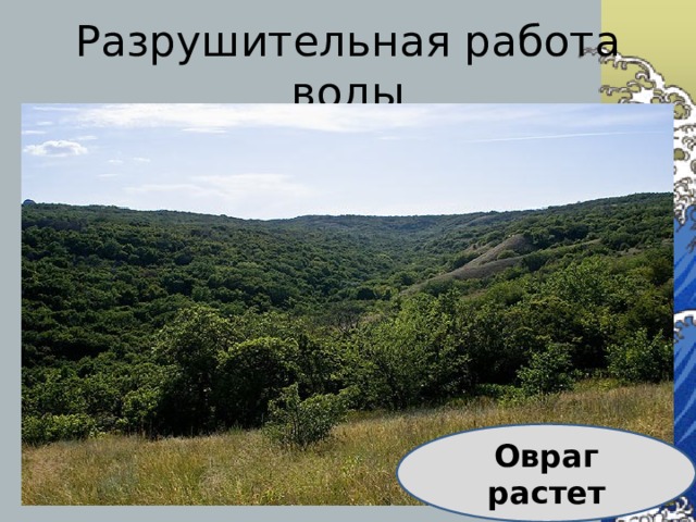 Разрушительная работа воды Овраг растет 