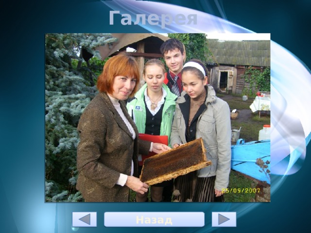 Галерея Назад 