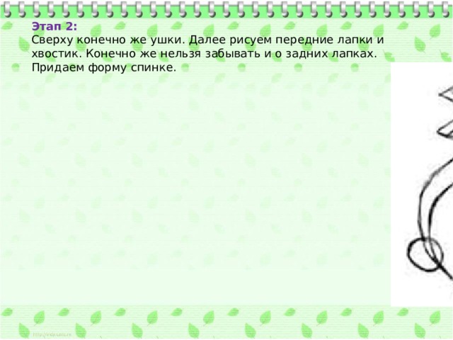 Этап 2:  Сверху конечно же ушки. Далее рисуем передние лапки и хвостик. Конечно же нельзя забывать и о задних лапках. Придаем форму спинке. 