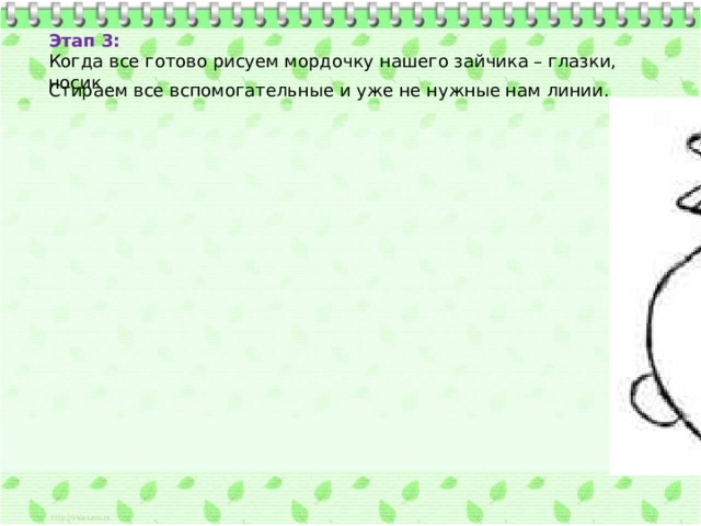 Этап 3:  Когда все готово рисуем мордочку нашего зайчика – глазки, носик . Стираем все вспомогательные и уже не нужные нам линии. 
