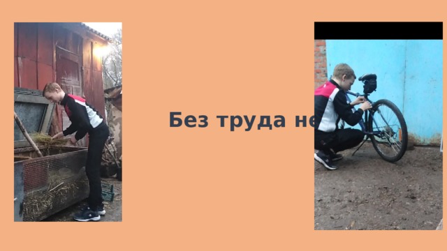  Без труда нет добра! 