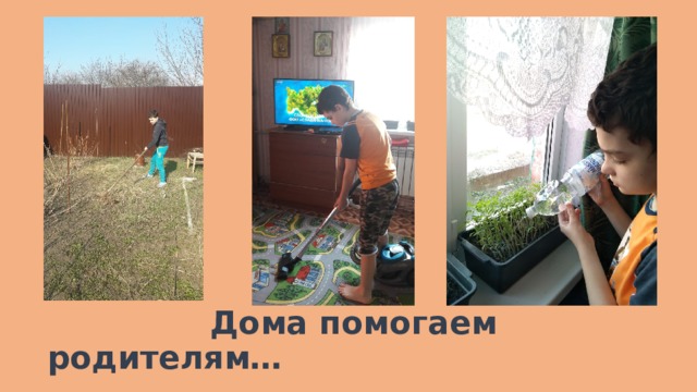  Дома помогаем родителям… 