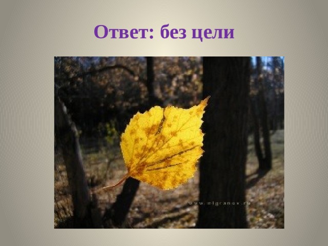 Ответ: без цели 