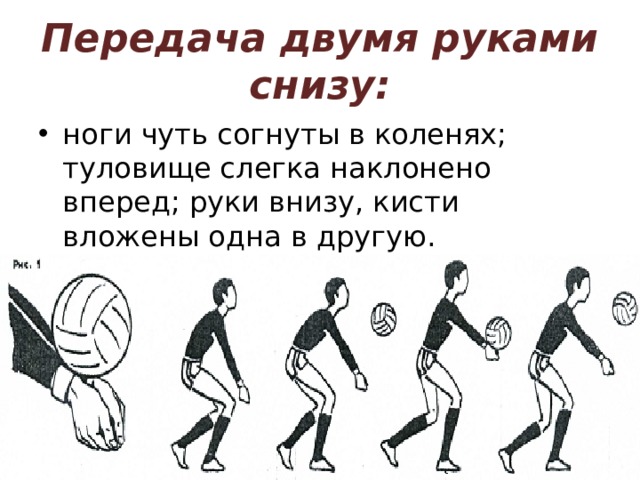 Передача двумя руками снизу: ноги чуть согнуты в коленях; туловище слегка наклонено вперед; руки внизу, кисти вложены одна в другую. 