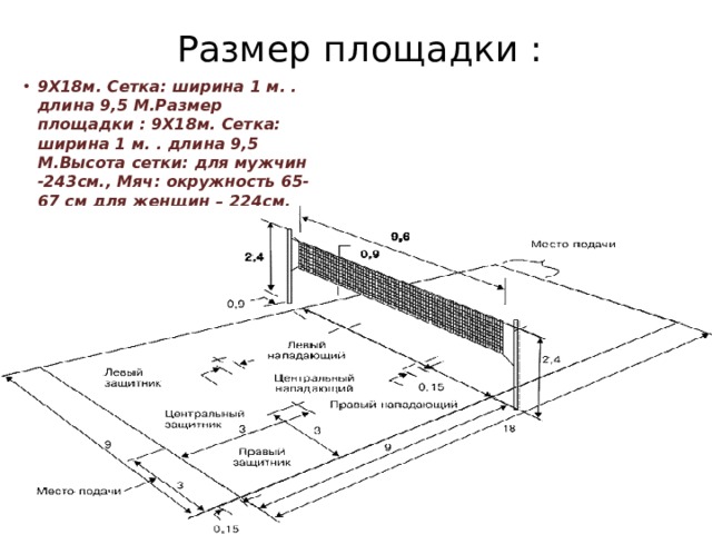 Размер площадки : 9Х18м. Сетка: ширина 1 м. . длина 9,5 М.Размер площадки : 9Х18м. Сетка: ширина 1 м. . длина 9,5 М.Высота сетки: для мужчин -243см., Мяч: окружность 65-67 см для женщин – 224см. вес 260-280 г. 
