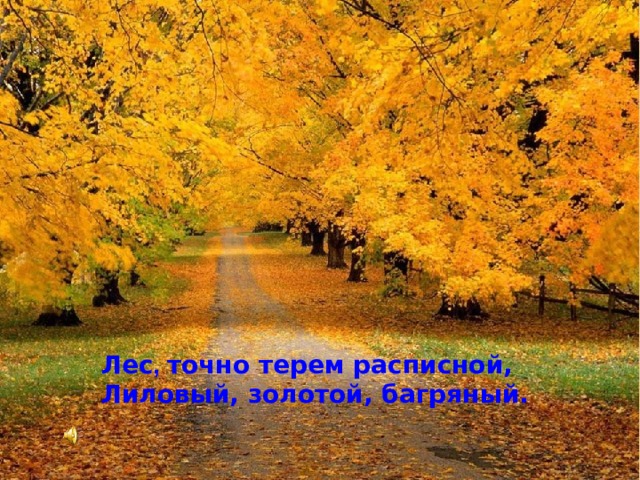 Лес , точно терем расписной, Лиловый, золотой, багряный.