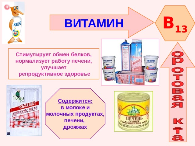 B 13 ВИТАМИН    Стимулирует обмен белков,  нормализует работу печени, улучшает  репродуктивное здоровье   Содержится: в молоке и  молочных продуктах, печени, дрожжах 