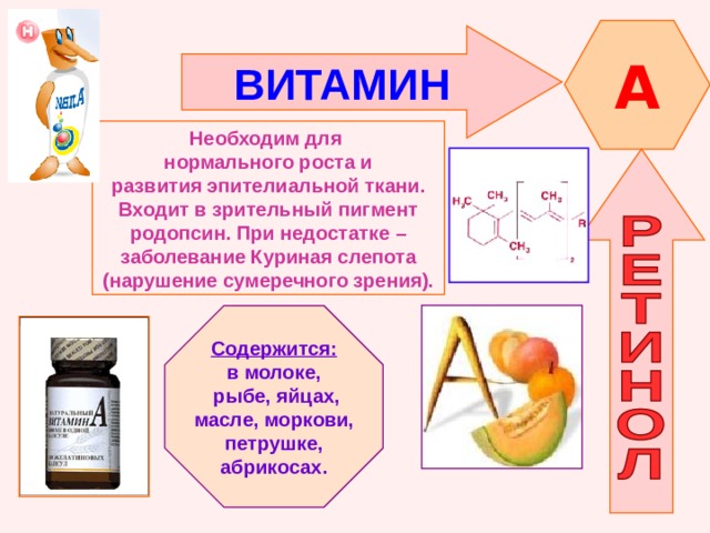 A ВИТАМИН  Необходим для нормального роста и развития эпителиальной ткани. Входит в зрительный пигмент родопсин. При недостатке – заболевание Куриная слепота (нарушение сумеречного зрения). Содержится: в молоке,  рыбе, яйцах, масле, моркови, петрушке, абрикосах. 