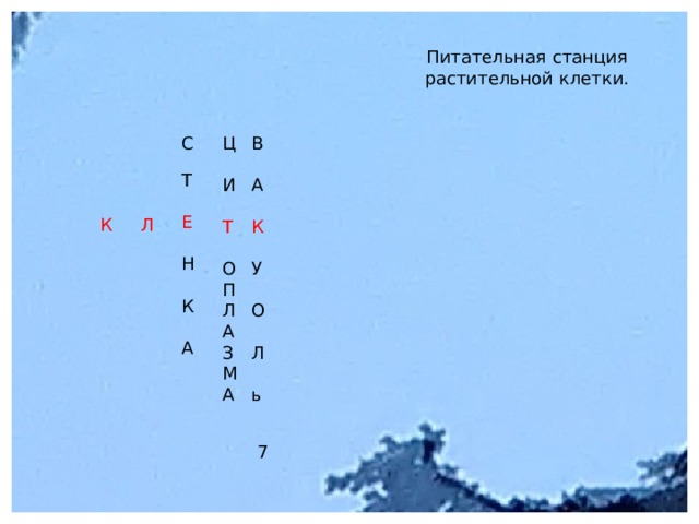 Питательная станция растительной клетки. Ц В С А И Т Е Т К У Н О П Л О К А З А Л М А ь К Л 7 