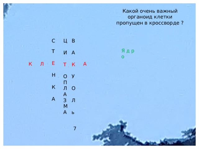 Какой очень важный органоид клетки пропущен в кроссворде ? Ц В С Т А И Т К Е У Н О П О Л К А З А Л М ь А Я д р о А К Л 7 