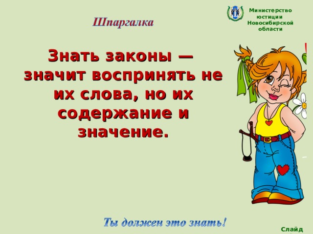 Министерство юстиции Новосибирской области Знать законы — значит воспринять не их слова, но их содержание и значение. Слайд 12 