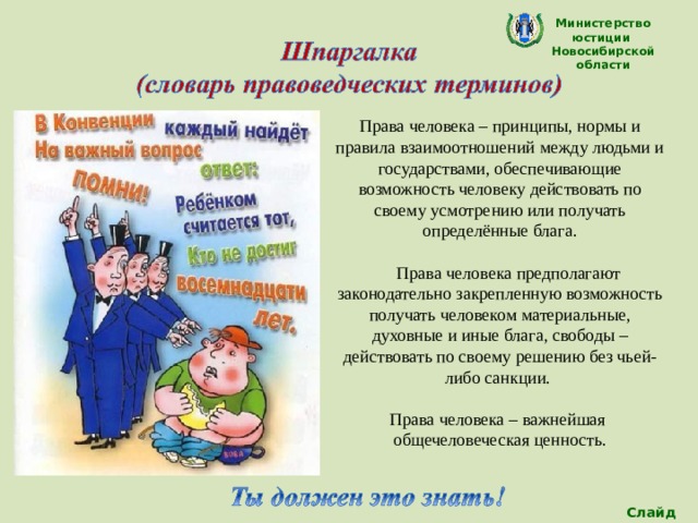Министерство юстиции Новосибирской области Права человека – принципы, нормы и правила взаимоотношений между людьми и государствами, обеспечивающие возможность человеку действовать по своему усмотрению или получать определённые блага.  Права человека предполагают законодательно закрепленную возможность получать человеком материальные, духовные и иные блага, свободы – действовать по своему решению без чьей-либо санкции. Права человека – важнейшая общечеловеческая ценность. Слайд 3 