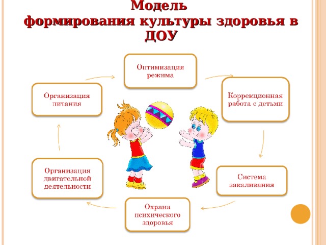        Модель  формирования культуры здоровья в ДОУ 