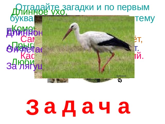 Отгадайте загадки и по первым буквам слов-отгадок узнаете тему урока. Длинное ухо, Комочек пуха, Прыгает ловко, Любит морковку. Стою на крыше— Всех труб выше. Его просят, его ждут, А как придёт, прятаться начнут. Длинноногий, длинноносый, Он летает на охоту За лягушками в болото. Очень медленно ползёт, Панцирь на себе везёт Сам алый, сахарный, Кафтан зелёный, бархатный. д а ч а а З 