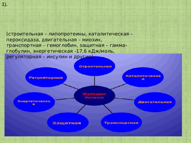 1), 1, (строительная – липопротеины, каталитическая – пероксидаза, двигательная – миозин, транспортная – гемоглобин, защитная – гамма-глобулин, энергетическая -17,6 кДж/моль, регуляторная – инсулин и другие). 