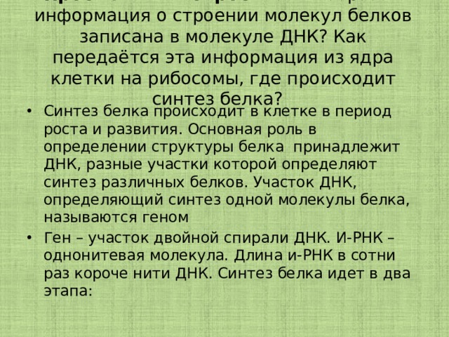 Проблемный вопрос: Каким образом информация о строении молекул белков записана в молекуле ДНК? Как передаётся эта информация из ядра клетки на рибосомы, где происходит синтез белка?   Синтез белка происходит в клетке в период роста и развития. Основная роль в определении структуры белка  принадлежит ДНК, разные участки которой определяют синтез различных белков. Участок ДНК, определяющий синтез одной молекулы белка, называются геном Ген – участок двойной спирали ДНК. И-РНК – однонитевая молекула. Длина и-РНК в сотни раз короче нити ДНК. Синтез белка идет в два этапа: 