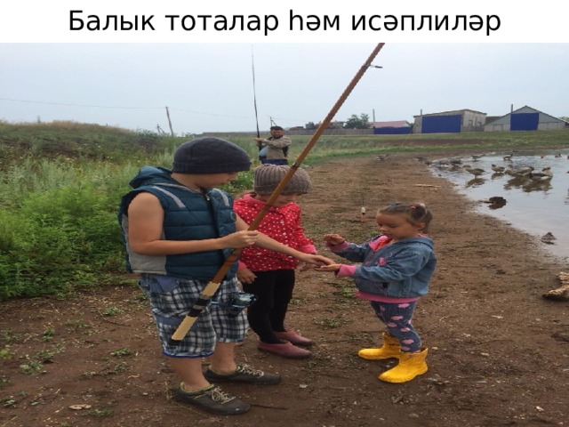 Балык тоталар һәм исәплиләр 