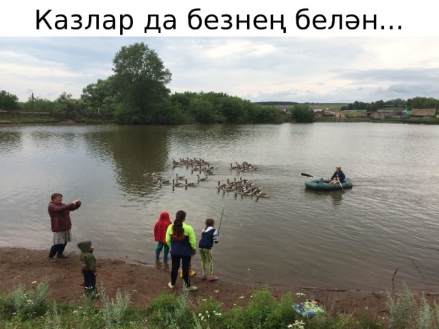 Казлар да безнең белән... 