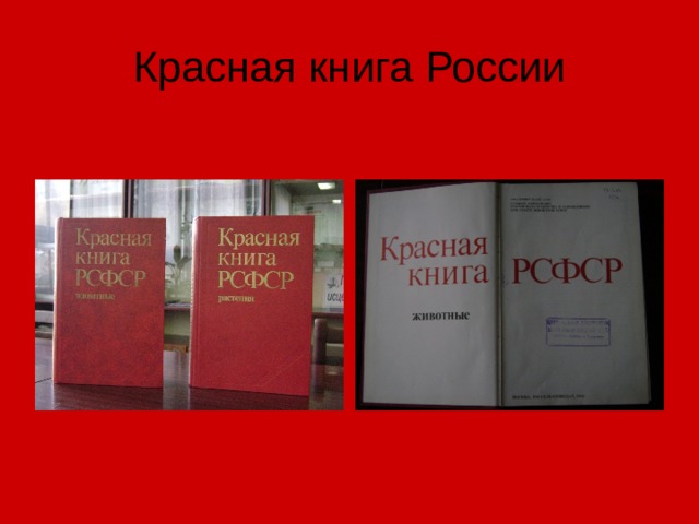 Красная книга России 