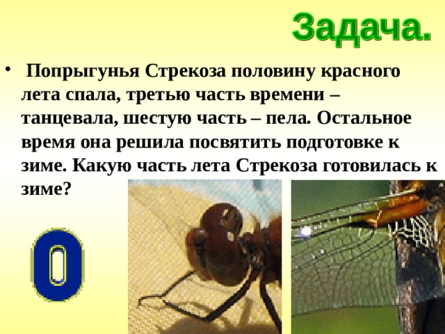  Попрыгунья Стрекоза половину красного лета спала, третью часть времени – танцевала, шестую часть – пела. Остальное время она решила посвятить подготовке к зиме. Какую часть лета Стрекоза готовилась к зиме? 