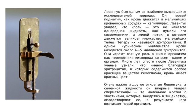 Левенгук был одним из наиболее выдающихся исследователей природы. Он первый подметил, как кровь движется в мельчайших кровеносных сосудах — капиллярах. Левенгук увидел, что кровь — это не какая-то однородная жидкость, как думали его современники, а живой поток, в котором движется великое множество мельчайших телец. Теперь их называют эритроцитами. В одном кубическом миллиметре крови находится около 4—5 миллионов эритроцитов. Они играют важную роль в жизни организма как переносчики кислорода ко всем тканям и органам. Много лет спустя после Левенгука ученые узнали, что именно благодаря эритроцитам, в которых содержится особое красящее вещество гемоглобин, кровь имеет красный цвет. Очень важно и другое открытие Левенгука: а семенной жидкости он впервые увидел сперматозоиды — те маленькие клетки с хвостиками, которые, внедряясь в яйцеклетку, оплодотворяют ее, в результате чего возникает новый организм. 