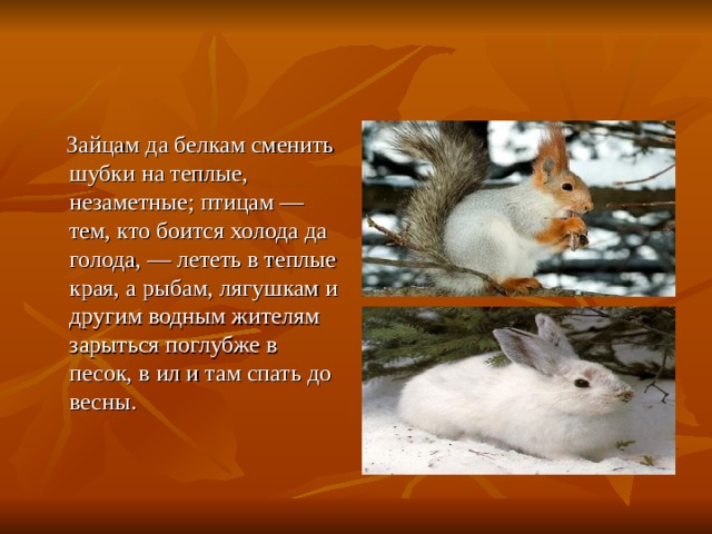  Зайцам да белкам сменить шубки на теплые, незаметные; птицам — тем, кто боится холода да голода, — лететь в теплые края, а рыбам, лягушкам и другим водным жителям зарыться поглубже в песок, в ил и там спать до весны. 