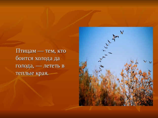  Птицам — тем, кто боится холода да голода, — лететь в теплые края. 