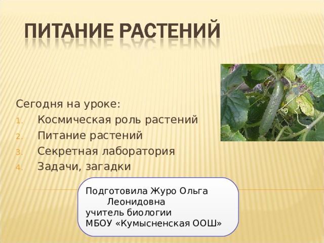 Сегодня на уроке: Космическая роль растений Питание растений Секретная лаборатория Задачи, загадки    Подготовила Журо Ольга Леонидовна учитель биологии МБОУ «Кумысненская ООШ» 