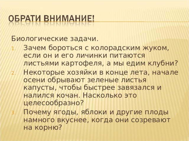 Биологические задачи. Зачем бороться с колорадским жуком, если он и его личинки питаются листьями картофеля, а мы едим клубни? Некоторые хозяйки в конце лета, начале осени обрывают зеленые листья капусты, чтобы быстрее завязался и налился кочан. Насколько это целесообразно? Почему ягоды, яблоки и другие плоды намного вкуснее, когда они созревают на корню? 
