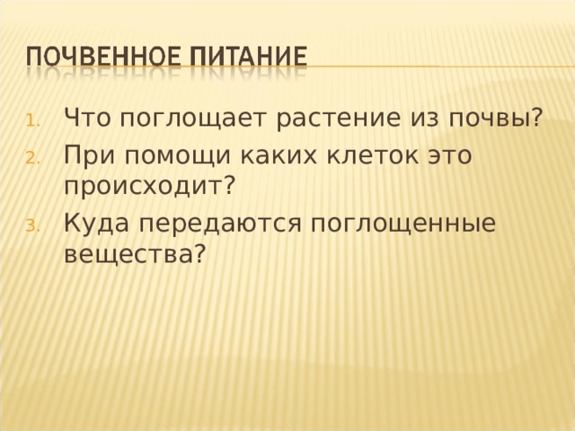 Что поглощает растение из почвы? При помощи каких клеток это происходит? Куда передаются поглощенные вещества? Рассмотрим процесс поглощения воды и минеральных веществ.  
