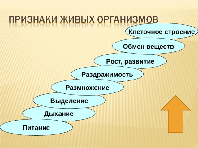 Клеточное строение Обмен веществ Рост, развитие Раздражимость Размножение Выделение Дыхание Питание 