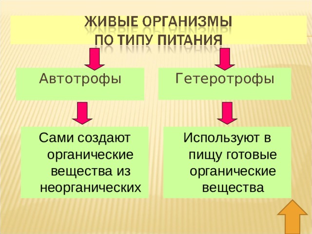 Автотрофы Гетеротрофы Сами создают органические вещества из неорганических Используют в пищу готовые органические вещества Значение автотрофного типа питания – непосредственное усвоение солнечной энергии. Космическая роль растений.  
