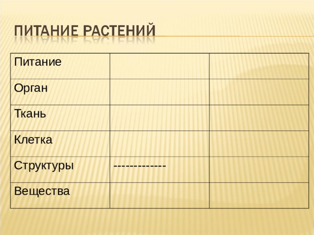 Питание Орган Ткань Клетка Структуры ------------- Вещества 