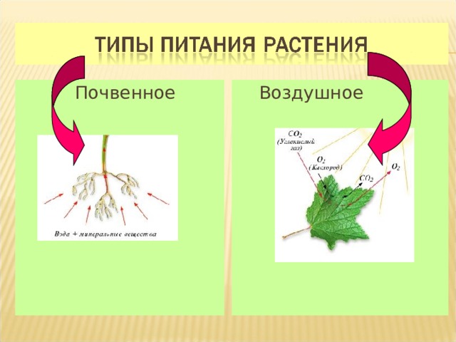  Почвенное  Воздушное 