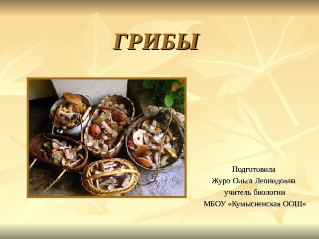 ГРИБЫ Подготовила Журо Ольга Леонидовна учитель биологии МБОУ «Кумысненская ООШ» 