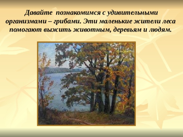 Давайте познакомимся с удивительными организмами – грибами. Эти маленькие жители леса помогают выжить животным, деревьям и людям. 