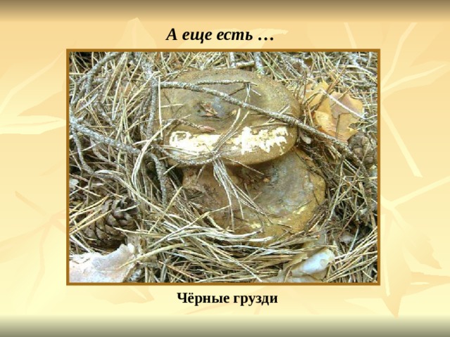 А еще есть … Чёрные грузди Чёрные грузди. 