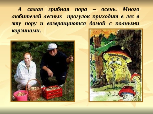 А самая грибная пора – осень. Много любителей лесных прогулок приходит в лес в эту пору и возвращаются домой с полными корзинами. А самая грибная пора – осень. Много любителей лесных прогулок приходит к нам в гости в эту пору и возвращаются домой с полными корзинами. 