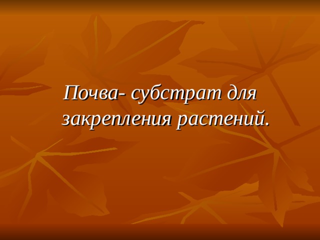   Почва- субстрат для закрепления растений. 