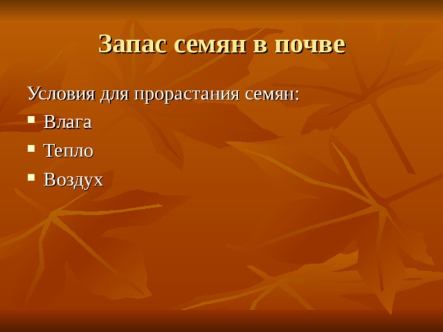 Запас семян в почве Условия для прорастания семян: Влага Тепло Воздух 