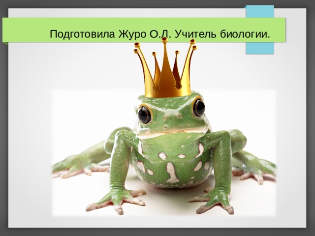  Подготовила Журо О.Л. Учитель биологии.  