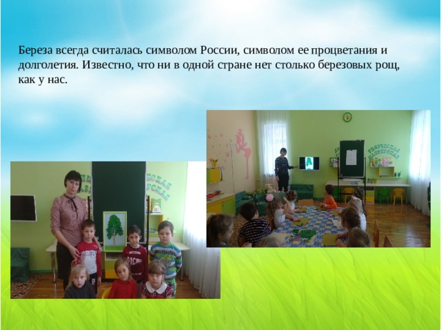Береза всегда считалась символом России, символом ее процветания и долголетия. Известно, что ни в одной стране нет столько березовых рощ, как у нас. 