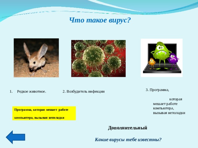 Что такое вирус? 3. Программа, которая мешает работе компьютера, вызывая неполадки Редкое животное. 2. Возбудитель инфекции Программа, которая мешает работе компьютера, вызывая неполадки Дополнительный   Какие вирусы тебе известны?  