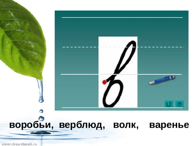  воробьи, верблюд, волк, варенье 