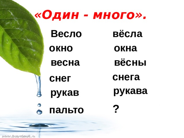 «Один - много». Весло вёсла  окно  окна  весна  вёсны  снега снег  рукава  рукав ?  пальто 