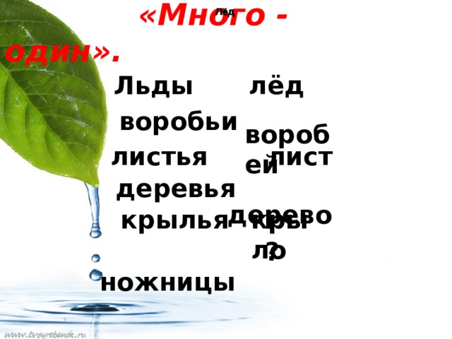  «Много - один». Лёд Лёд Лёд Лёд Лёд Льды  лёд  воробей  воробьи листья  лист   дерево  деревья  крылья крыло  ножницы  ? 