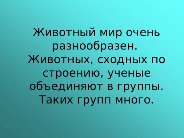 Животный мир очень разнообразен.  Животных, сходных по строению, ученые объединяют в группы. Таких групп много. 