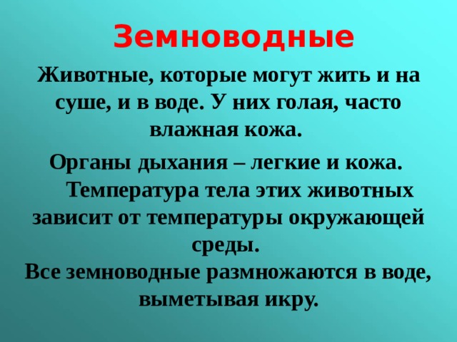  Земноводные  Животные, которые могут жить и на суше, и в воде. У них голая, часто влажная кожа. Органы дыхания – легкие и кожа.  Температура тела этих животных зависит от температуры окружающей среды. Все земноводные размножаются в воде, выметывая икру.  